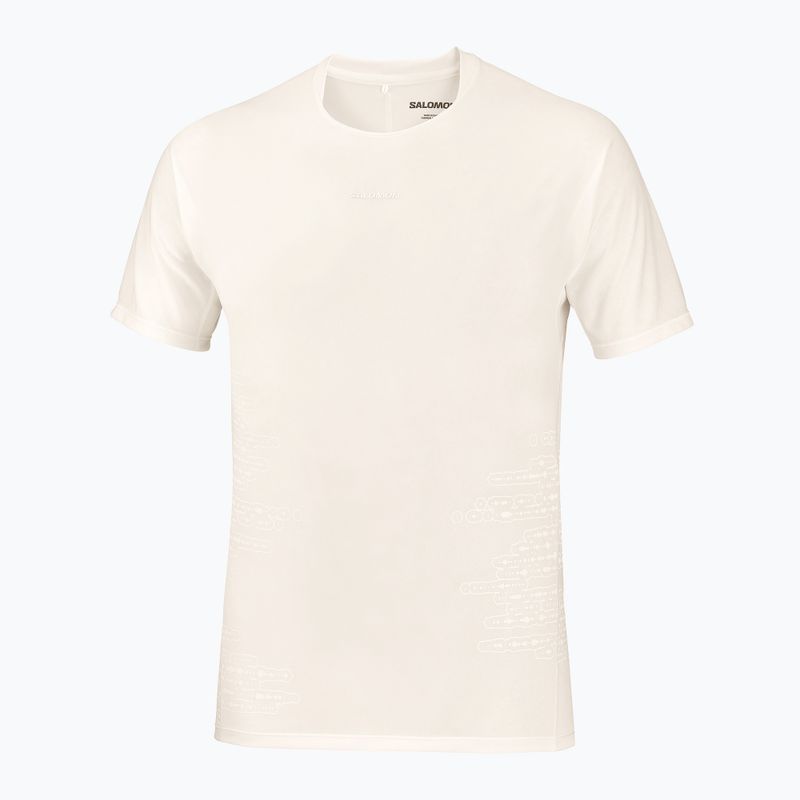Vyriški bėgimo marškinėliai Salomon Sense Aero GFX Tee SS whisper white/raind day/bright white 5