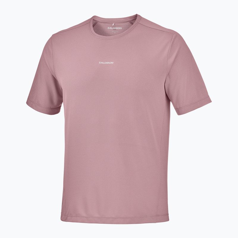 Vyriški bėgimo marškinėliai Salomon Shakeout Core SS Tee antler 4
