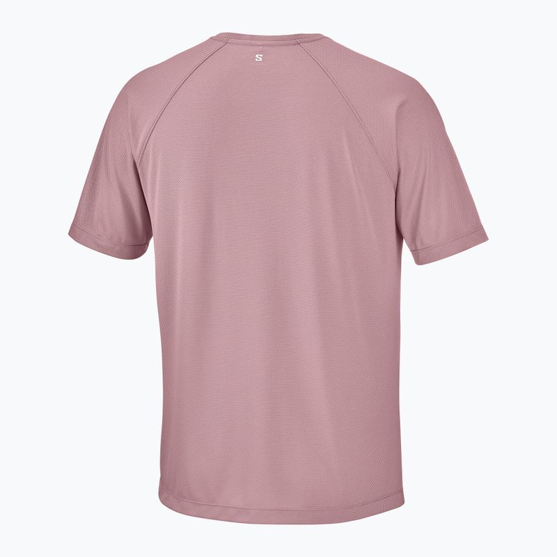 Vyriški bėgimo marškinėliai Salomon Shakeout Core SS Tee antler 5