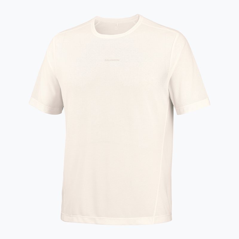 Vyriški bėgimo marškinėliai Salomon Shakeout Core GFX SS Tee whisper white/pink frosting 5