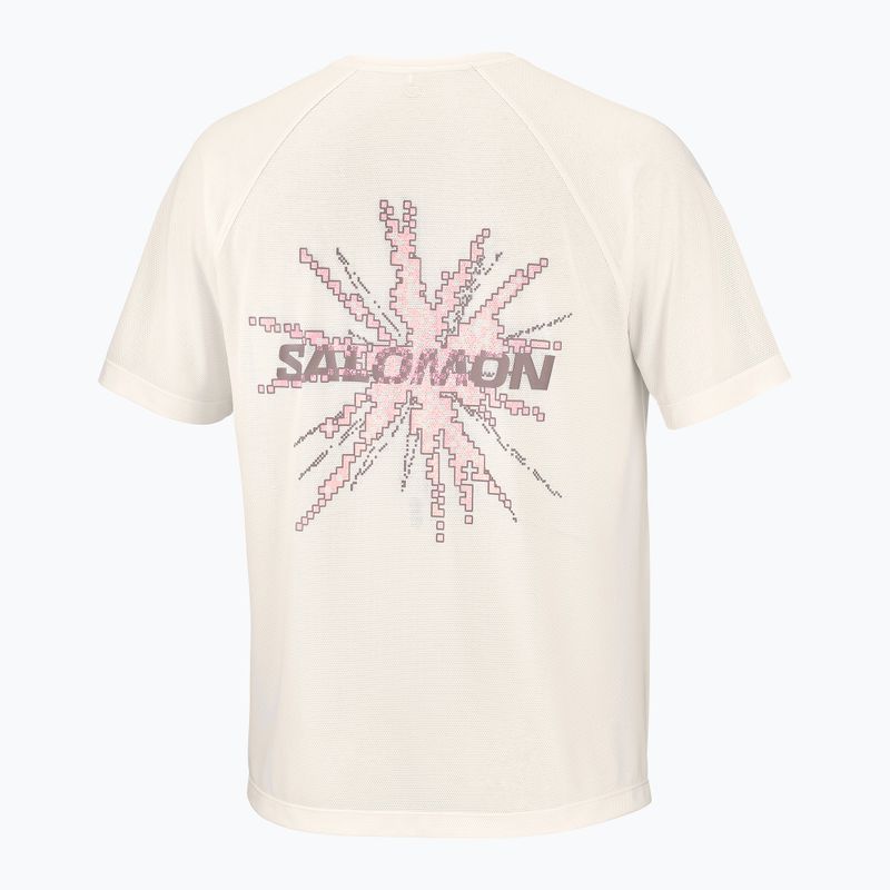 Vyriški bėgimo marškinėliai Salomon Shakeout Core GFX SS Tee whisper white/pink frosting 6