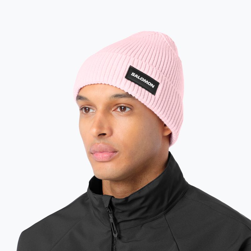 Žieminė kepurė Salomon Classic icy pink 2