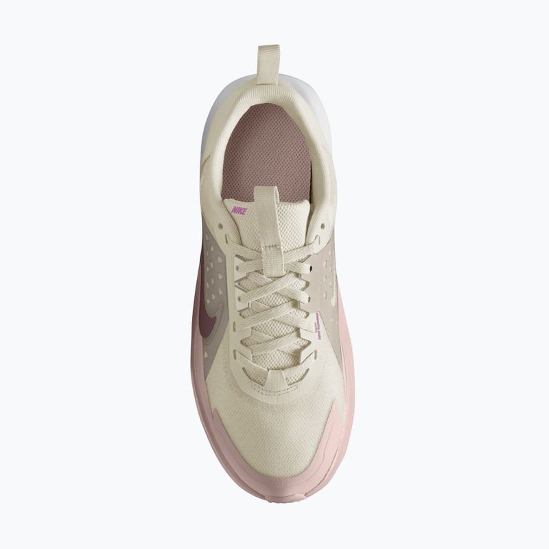 Vaikiški batai Nike Sonic Fly phantom/cream II/silt red/tattoo 6