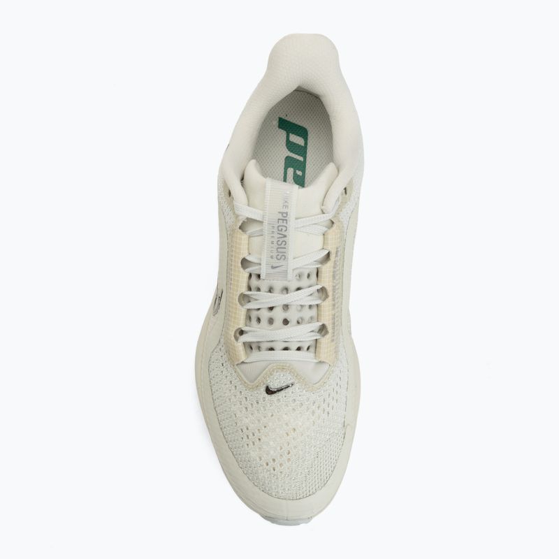 Moteriški bėgimo batai Nike Pegasus Premium sea glass/malachite/metallic silver 5