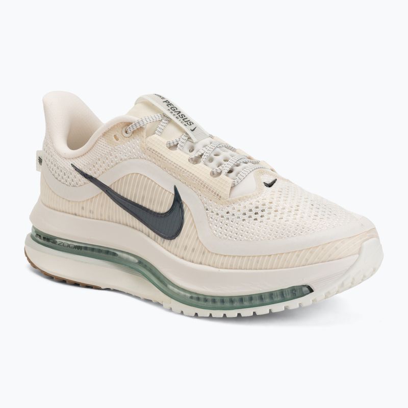 Vyriški bėgimo batai Nike Pegasus Premium Pale ivory/jade horizon/black spruce