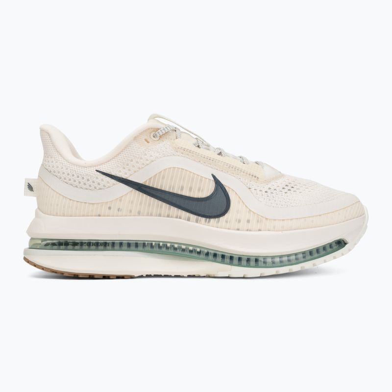 Vyriški bėgimo batai Nike Pegasus Premium Pale ivory/jade horizon/black spruce 2