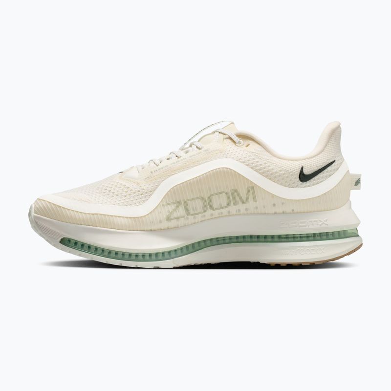Vyriški bėgimo batai Nike Pegasus Premium Pale ivory/jade horizon/black spruce 2