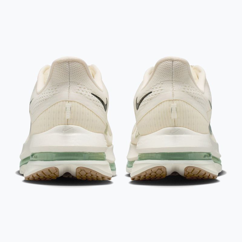 Vyriški bėgimo batai Nike Pegasus Premium Pale ivory/jade horizon/black spruce 4