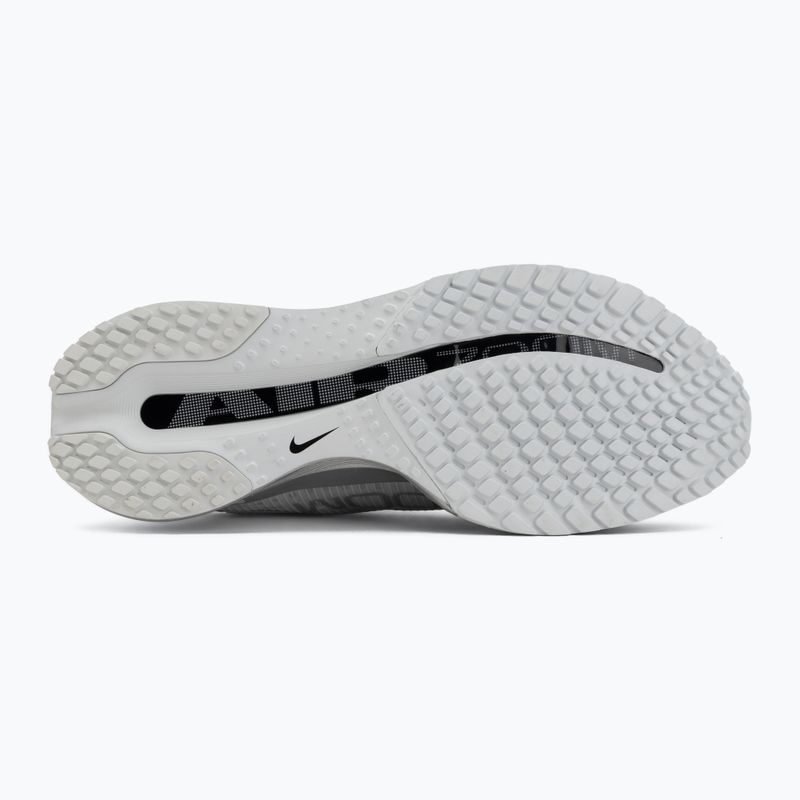 Vyriški bėgimo batai Nike Pegasus Premium photon dust/metallic Silver/black 4