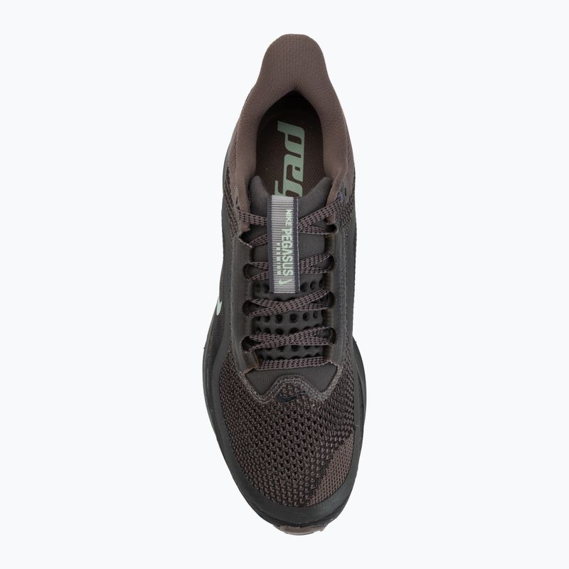 Vyriški bėgimo batai Nike Pegasus Premium ironstone/dark smoke grey/quartz patina 5