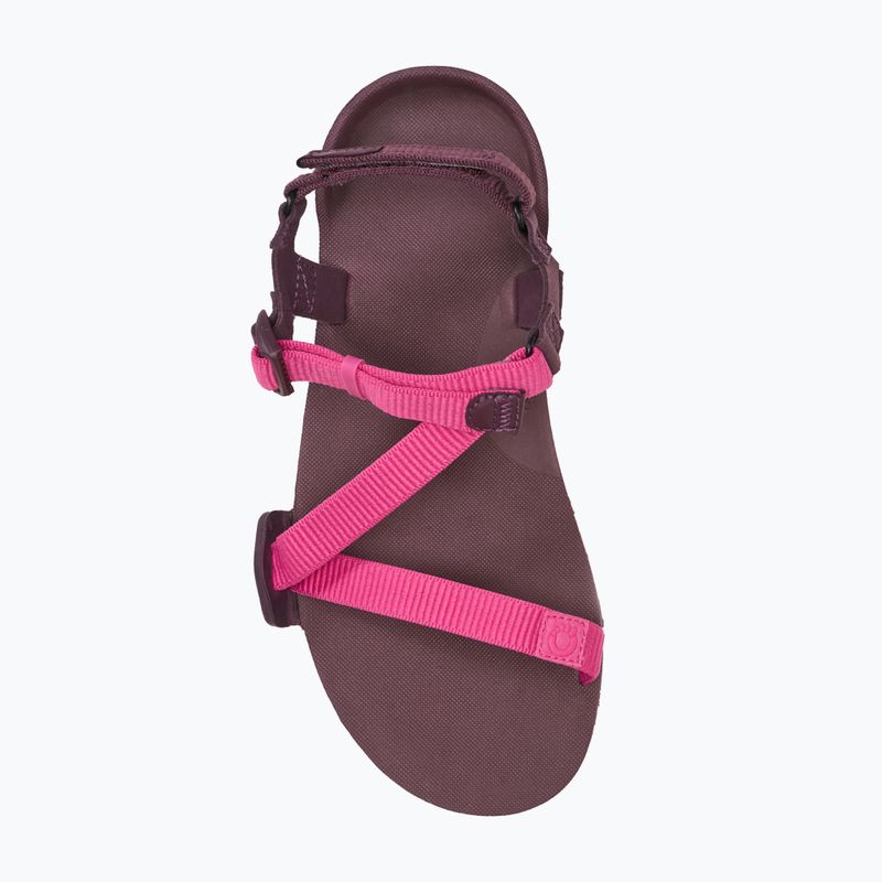 Moteriškos barefoot basutės Xero Shoes Z-Trail EV fuchsia purple 5