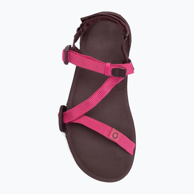 Moteriškos barefoot basutės Xero Shoes Z-Trail EV fuchsia purple 5