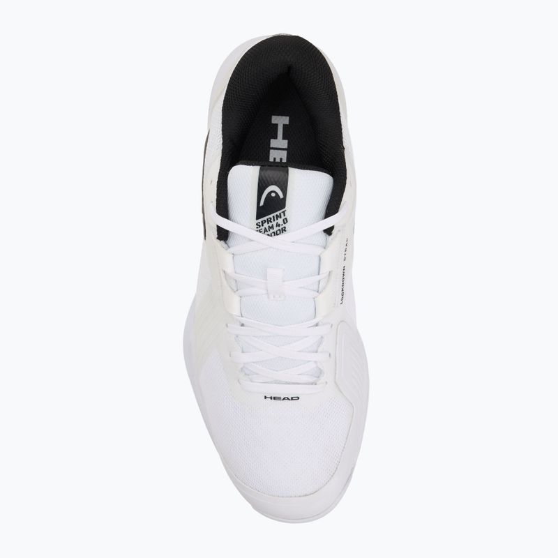 Skvošo batai HEAD Sprint Team 4.0 Indoor white/black 5
