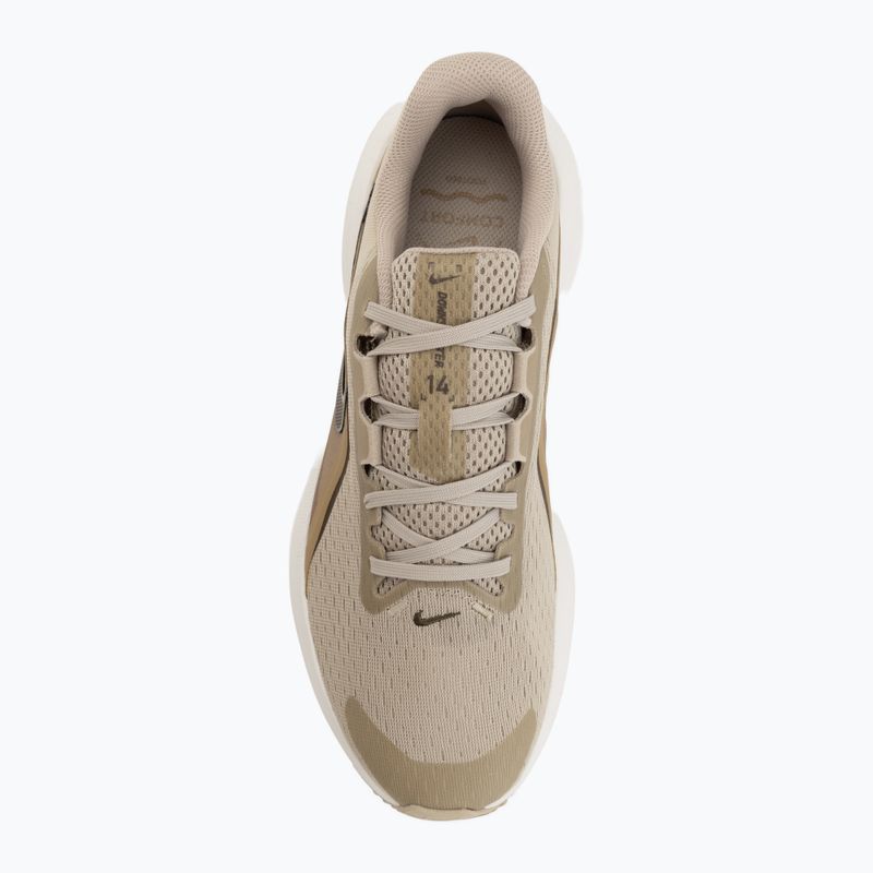 Vyriški bėgimo batai Nike Downshifter 14 desert khaki/sail/filbert/dark hazel 5