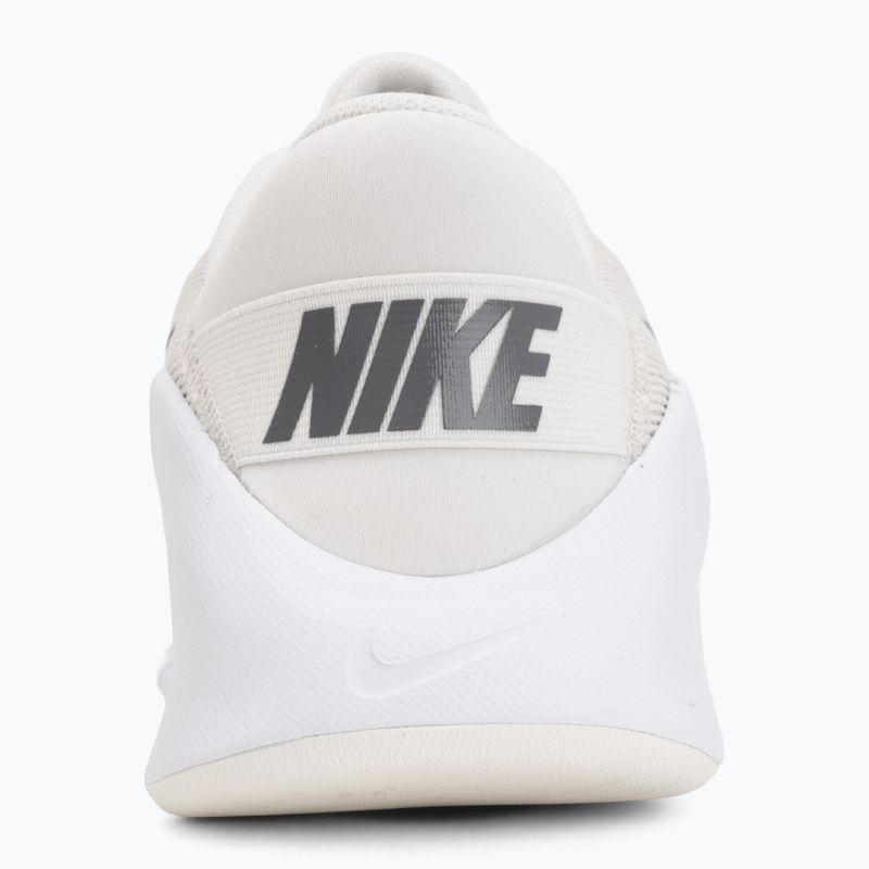 Vyriški treniruočių batai Nike Flex Train phantom/white/sail/pencil point 6