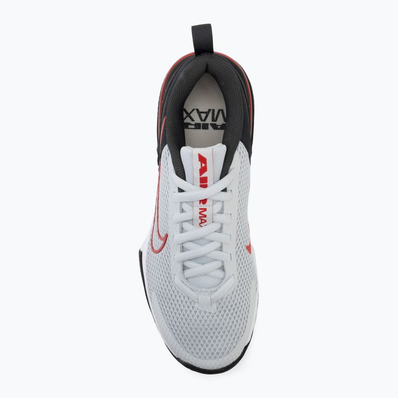 Vyriški treniruočių batai Nike Air Max Alpha Trainer 6 pure platinum/black/ white/university red 5