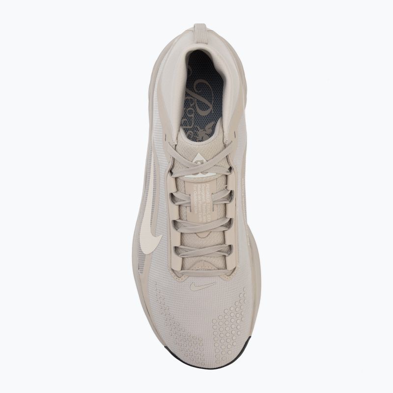 Vyriški bėgimo batai Nike ACG Pegasus Trail GORE-TEX Cream Ii/Light Orewood Brown 5