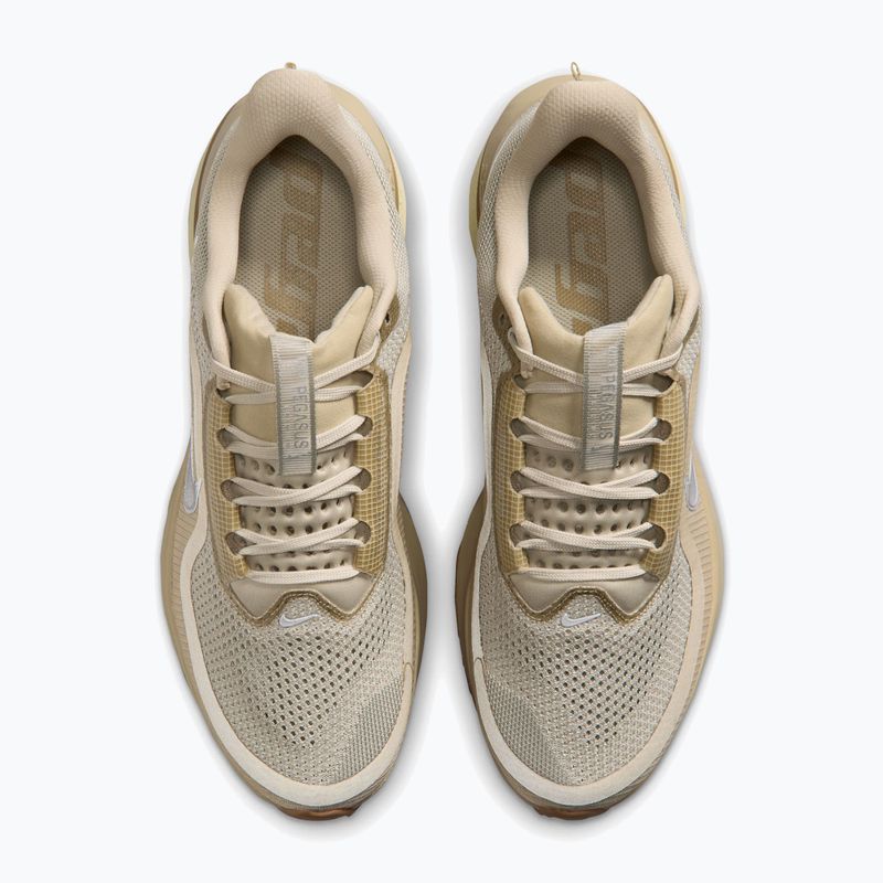 Vyriški bėgimo batai Nike Pegasus Premium desert khaki/light khaki/metallic silver 4
