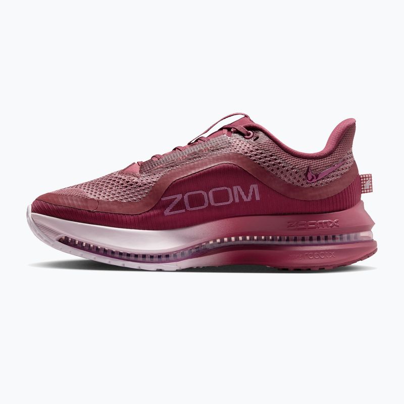Moteriški bėgimo batai Nike Pegasus Premium pink smoke/light magenta/pink smoke 2