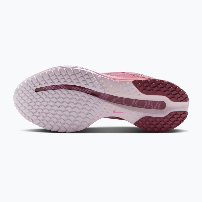 Moteriški bėgimo batai Nike Pegasus Premium pink smoke/light magenta/pink smoke 4