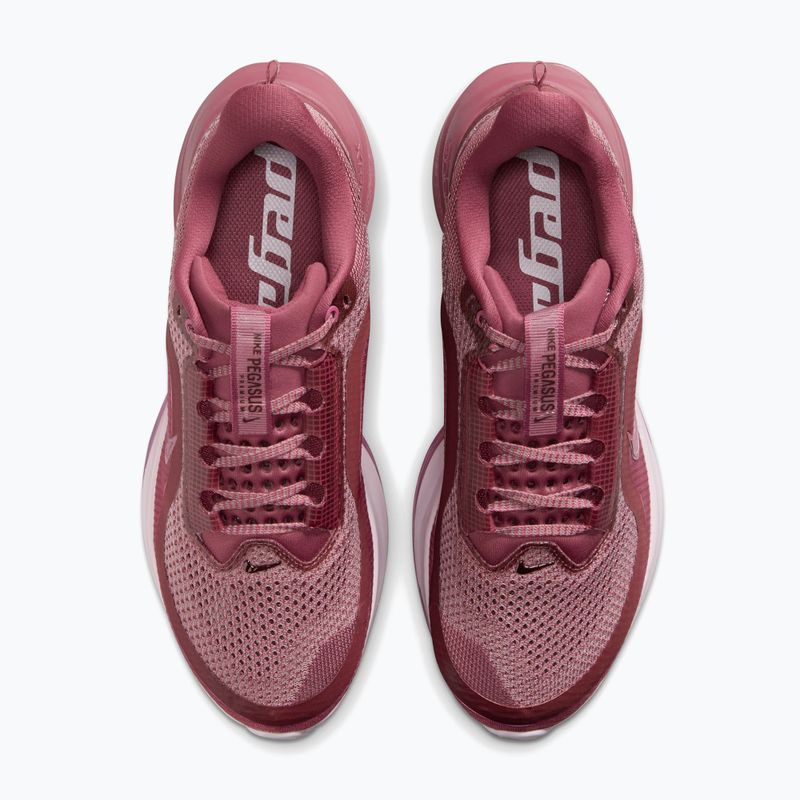 Moteriški bėgimo batai Nike Pegasus Premium pink smoke/light magenta/pink smoke 5