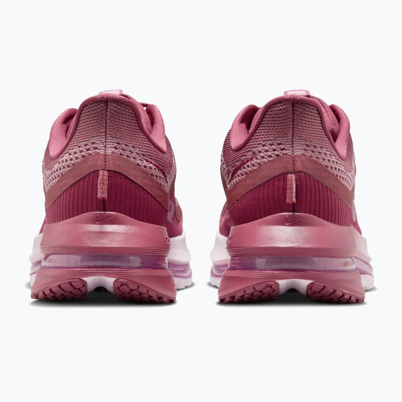 Moteriški bėgimo batai Nike Pegasus Premium pink smoke/light magenta/pink smoke 6
