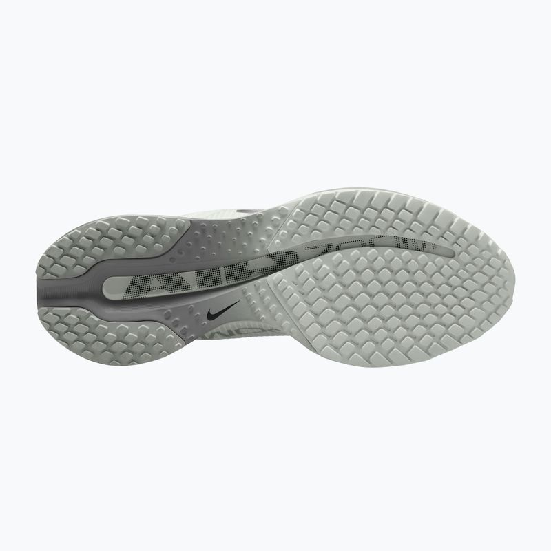 Moteriški bėgimo batai Nike Pegasus Premium summit white/grey fog/metallic silver 3