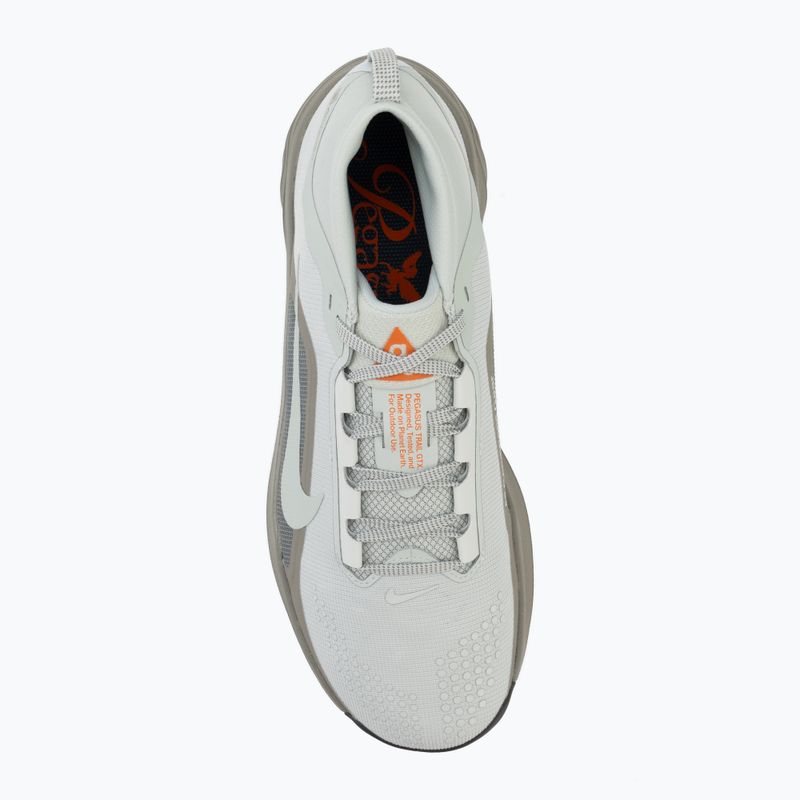 Vyriški bėgimo batai Nike ACG Pegasus Trail GORE-TEX Light Silver/Light Army/Light Silver 5