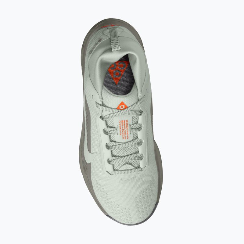 Moteriški bėgimo batai Nike ACG Pegasus Trail GORE-TEX Light Silver/Light Army/Light Silver 4