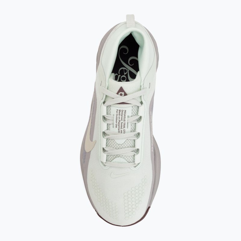 Moteriški bėgimo batai Nike ACG Pegasus Trail GORE-TEX Barely Green/Silver Lilac/Light Bone 5