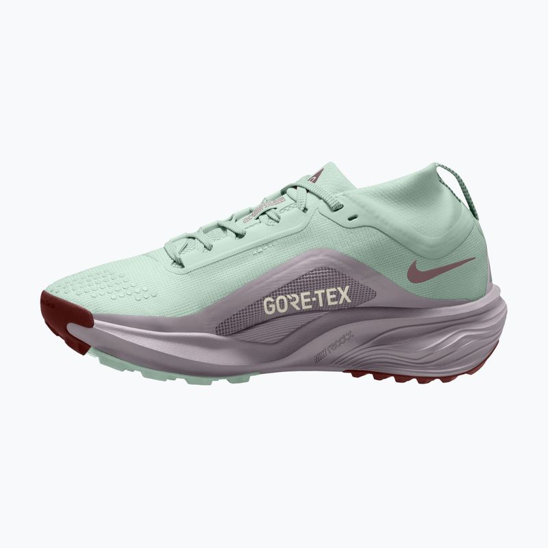 Moteriški bėgimo batai Nike ACG Pegasus Trail GORE-TEX Barely Green/Silver Lilac/Light Bone 2