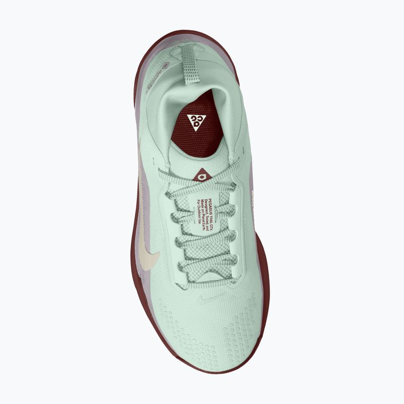 Moteriški bėgimo batai Nike ACG Pegasus Trail GORE-TEX Barely Green/Silver Lilac/Light Bone 4