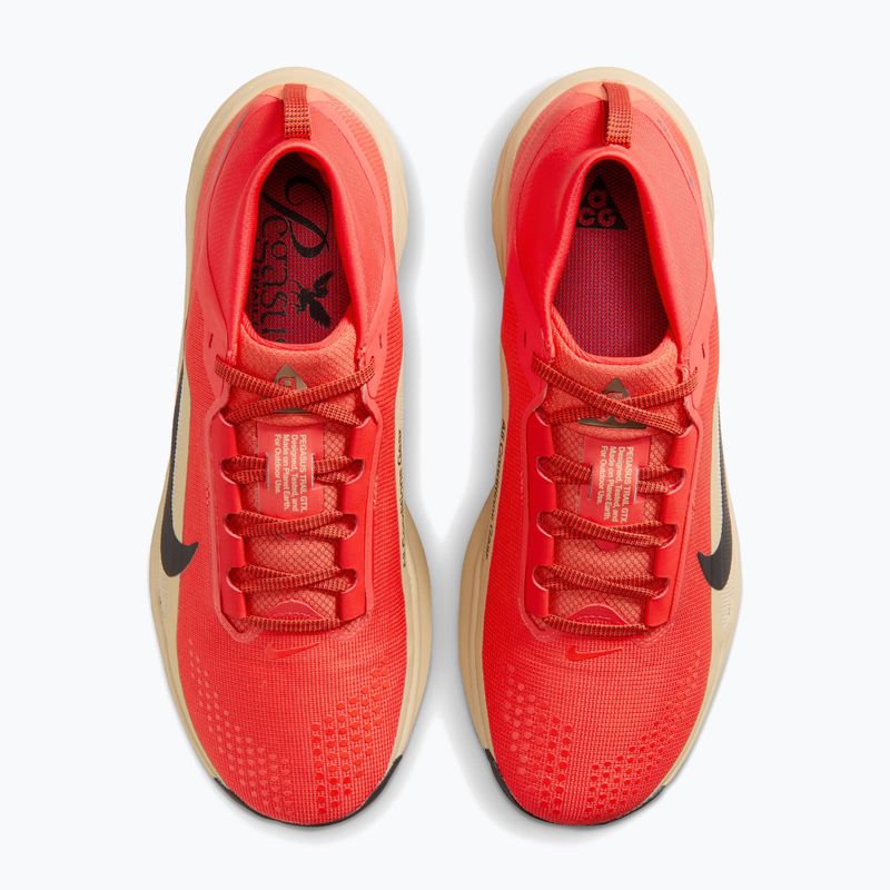 Vyriški bėgimo batai Nike ACG Pegasus Trail GORE-TEX Light Crimson/Linen/Black 5