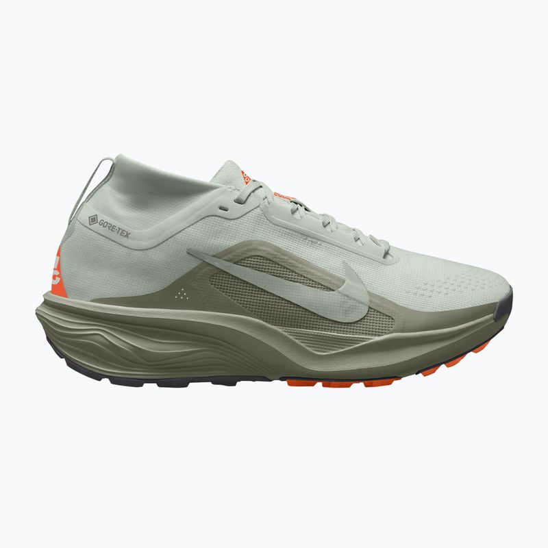 Vyriški bėgimo batai Nike ACG Pegasus Trail GORE-TEX Light Silver/Light Army/Light Silver