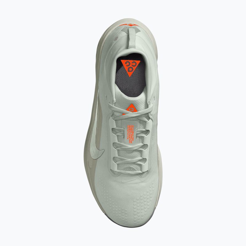 Vyriški bėgimo batai Nike ACG Pegasus Trail GORE-TEX Light Silver/Light Army/Light Silver 4