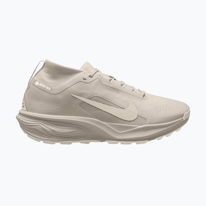 Vyriški bėgimo batai Nike ACG Pegasus Trail GORE-TEX Cream Ii/Light Orewood Brown