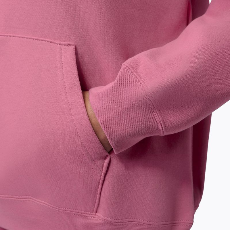 Moteriškas džemperis Jordan Fleece Hoodie desert berry/white 7