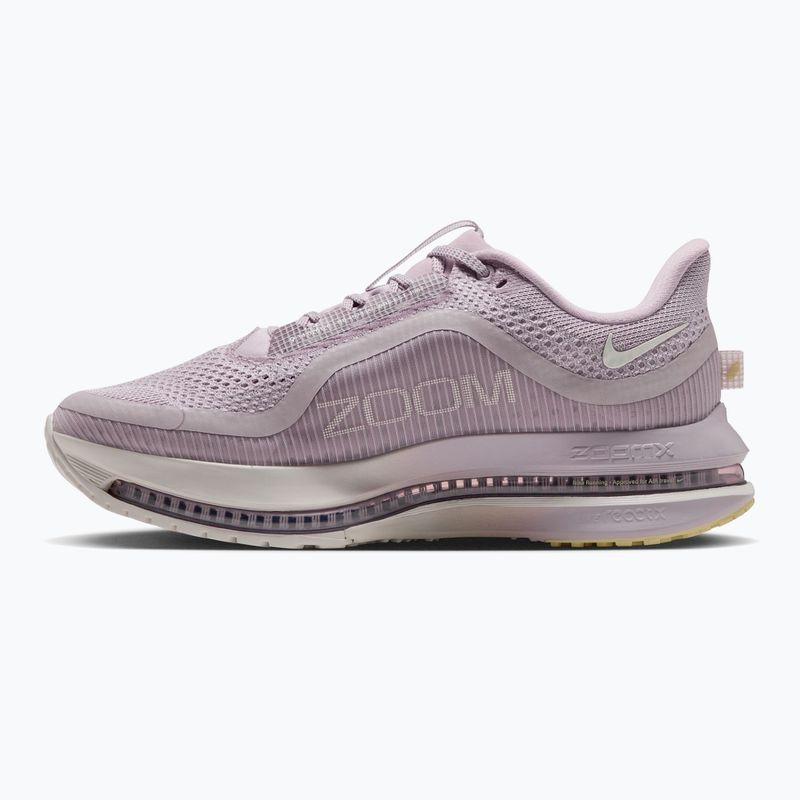 Moteriški bėgimo batai Nike Pegasus Premium particle rose/silver lilac/sail 2