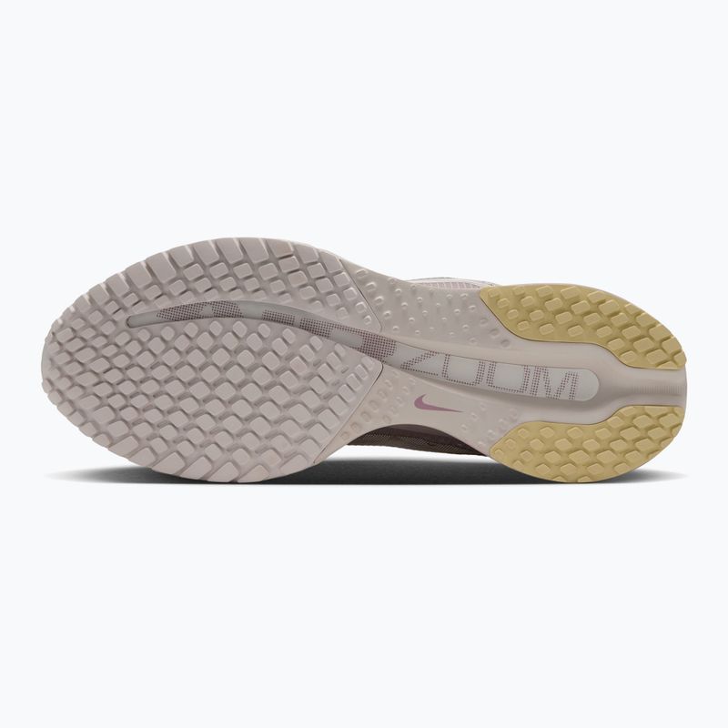 Moteriški bėgimo batai Nike Pegasus Premium particle rose/silver lilac/sail 3