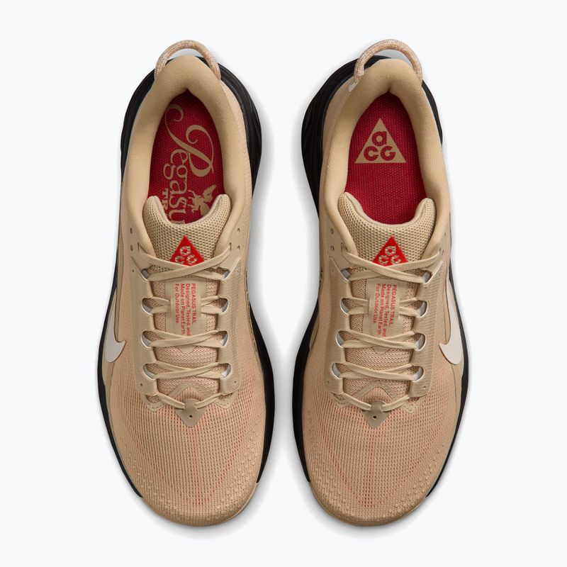 Vyriški bėgimo batai Nike ACG Pegasus Trail linen/black/light crimson/light orewood brown 4