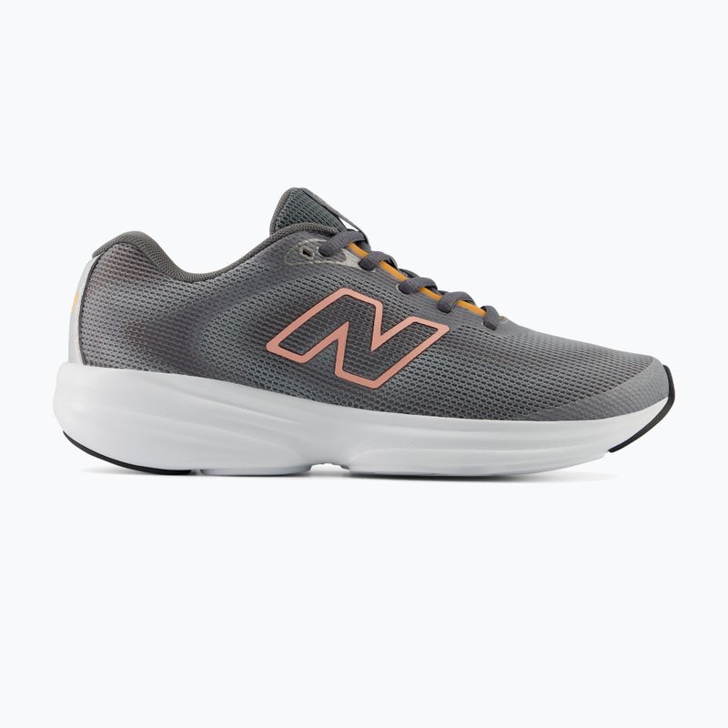Moteriški bėgimo batai New Balance 411's V4 grey 2