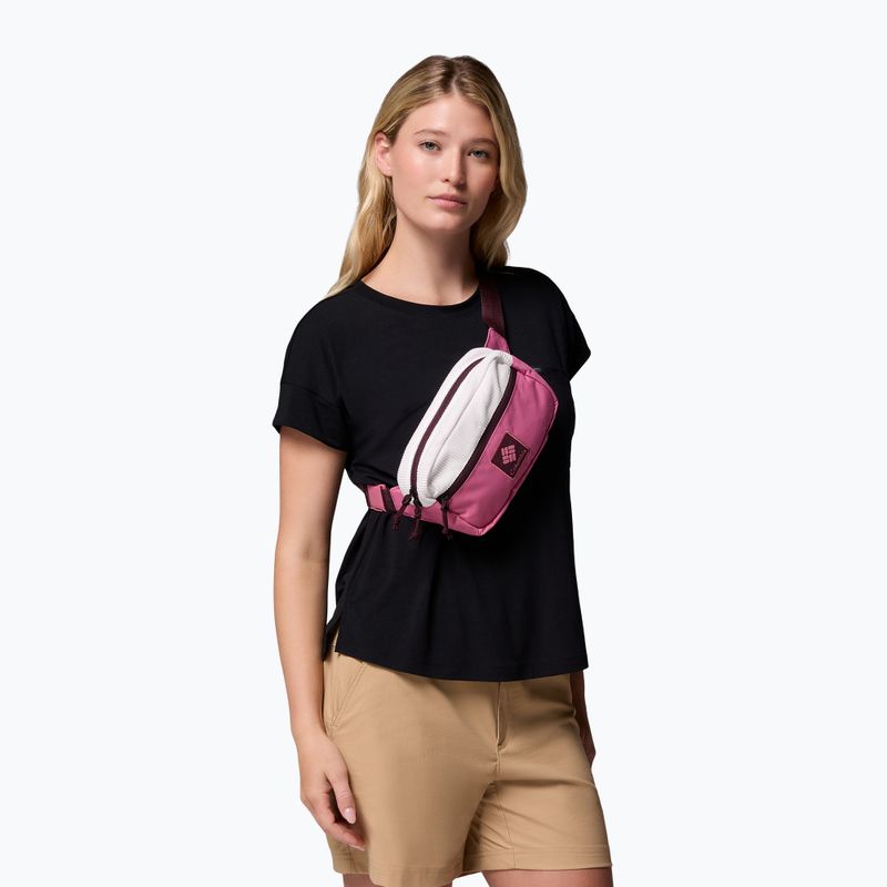 Juosmens krepšys Columbia Trail Traveler Hip sea salt/rosette/moonvista 5