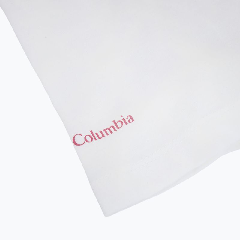 Moteriški marškinėliai Columbia Ruby Springs Graphic Fitted white/brandrise 4
