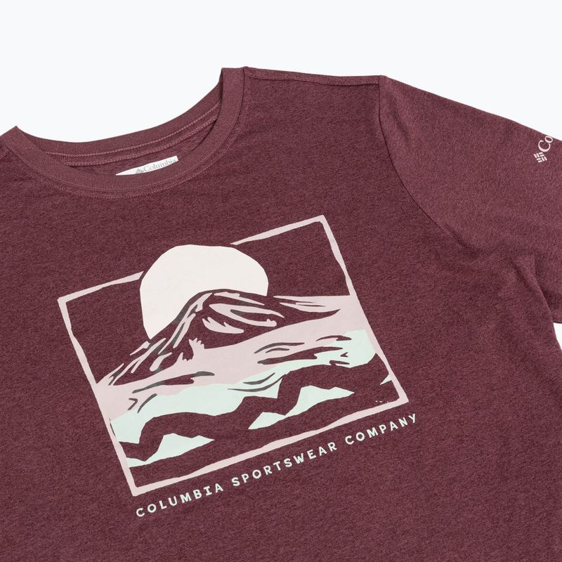 Moteriški marškinėliai ilgomis rankovėmis Columbia Parsons Point LS Graphic Tee antique mauve heather/all terrain 8