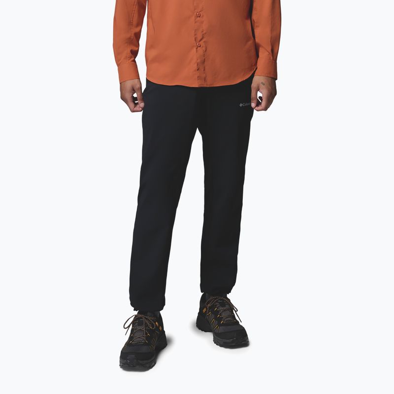 Vyriškos turistinės kelnės Columbia Essential Hike™ Brushed Back black