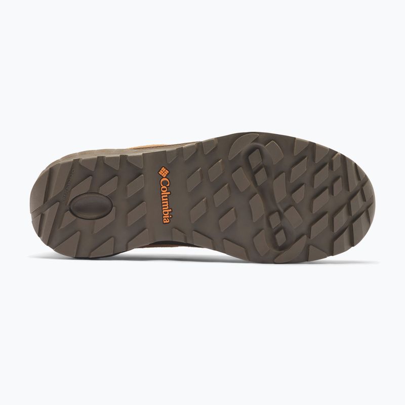 Vyriški žygio batai Columbia Newton Alpine Low grizzly bear/red oxide 5