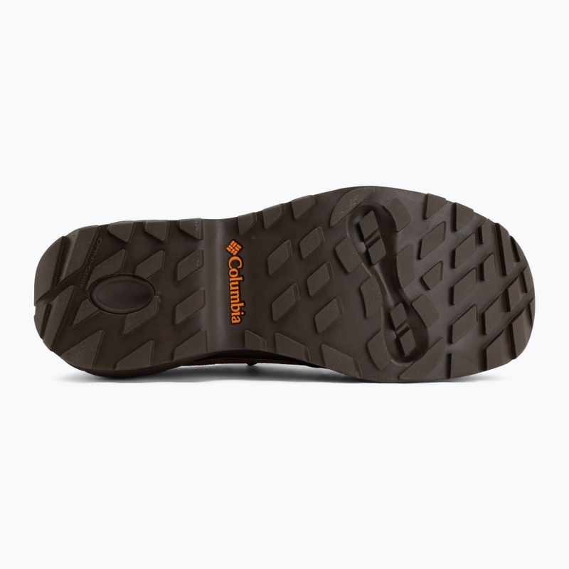 Vyriški žygio batai Columbia Newton Alpine Low grizzly bear/red oxide 4