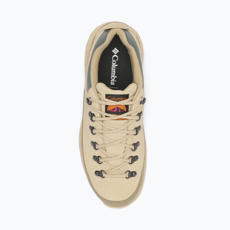 Vyriški žygio batai Columbia Newton Alpine Low fossil/sedona sage 4