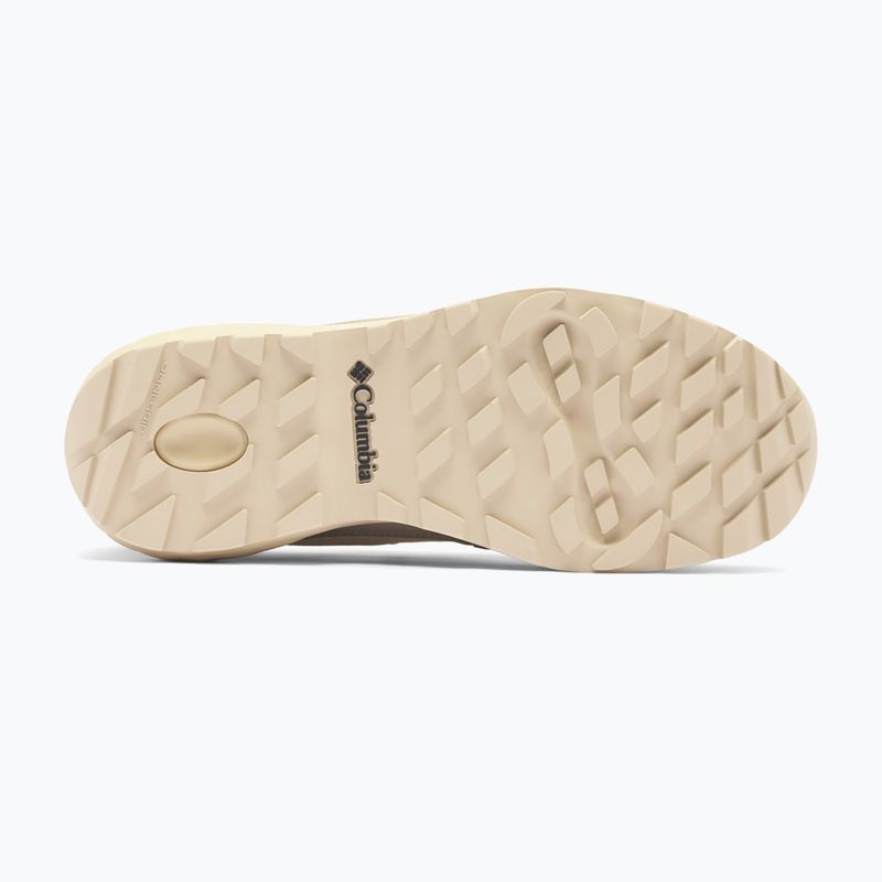 Vyriški žygio batai Columbia Newton Alpine Low fossil/sedona sage 5