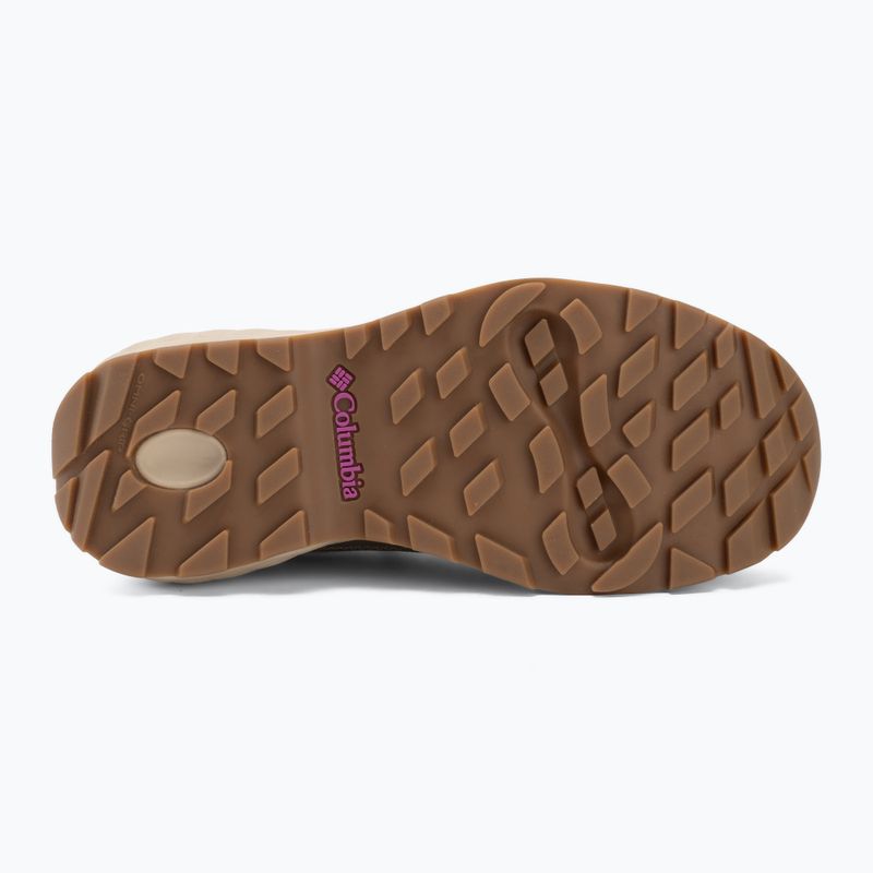 Moteriški žygio batai Columbia Newton Alpine Low oxford tan/foxglove 4